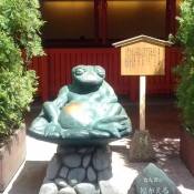 Chilled Frog in Namba